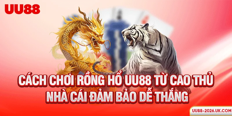 Cách chơi Rồng Hổ UU88 từ cao thủ nhà cái đảm bảo dễ thắng