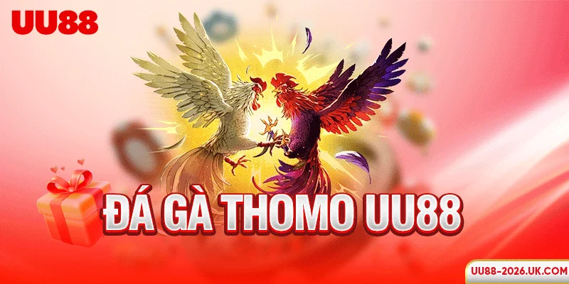 Đá gà Thomo UU88