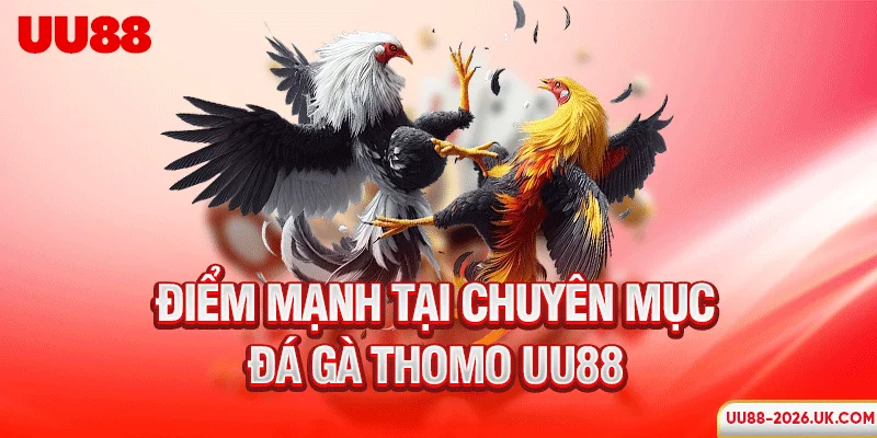 Điểm mạnh tại chuyên mục đá gà Thomo UU88