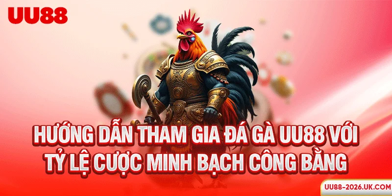 Hướng dẫn tham gia đá gà UU88 với tỷ lệ cược minh bạch công bằng